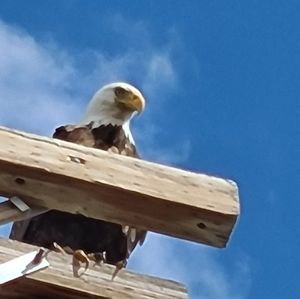 Meet your Posher, Craig